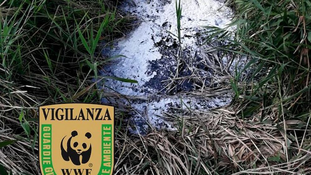 28082018 ambiente sequestri zoot