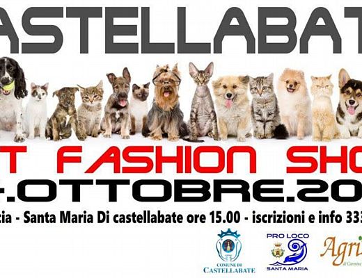 28092015 castellabate pet fashion show