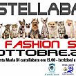 Castellabate Notizie foto - 28092015 castellabate pet fashion show