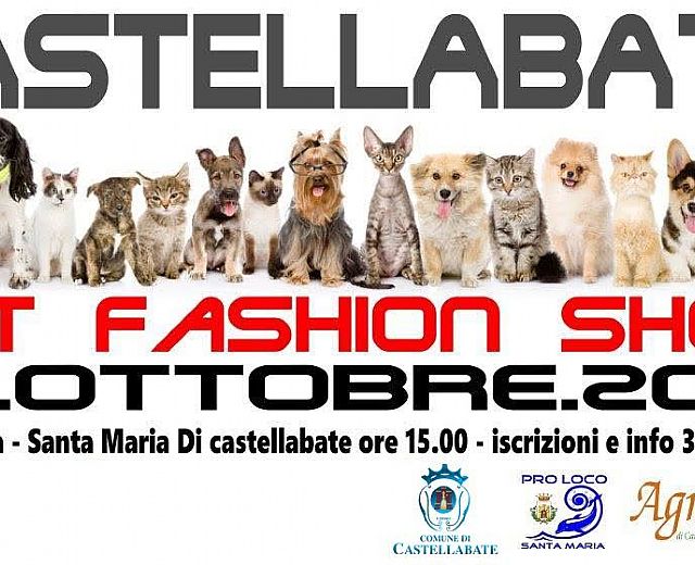 28092015 castellabate pet fashion show