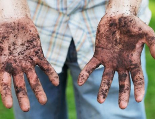 Giuseppe-Lembo foto - 28092015 ritorno alla terra