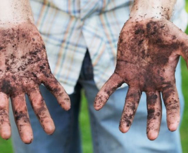 28092015 ritorno alla terra