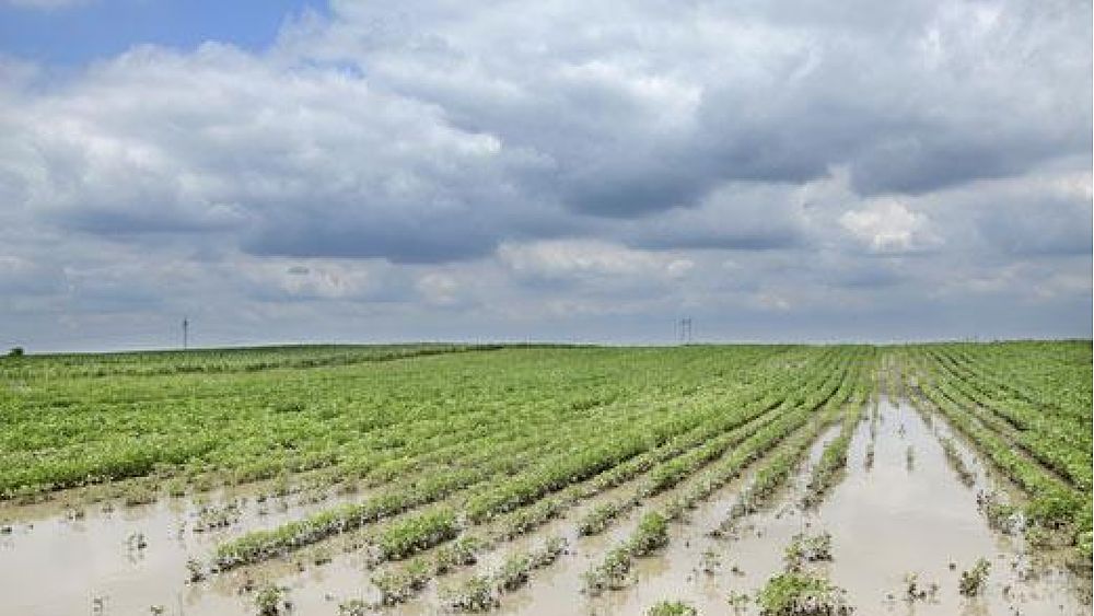 28092020 maltempo agricolt