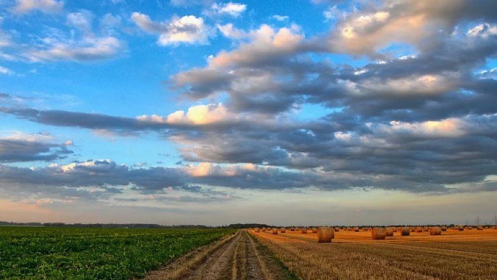 28092020 natura e paesaggio