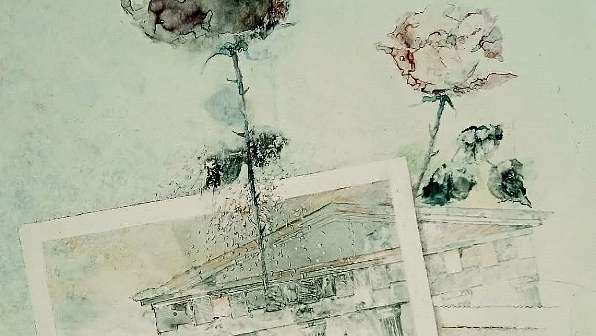 28092024 i messaggi della rosa quadro 28092024 i messaggi della rosa quadro