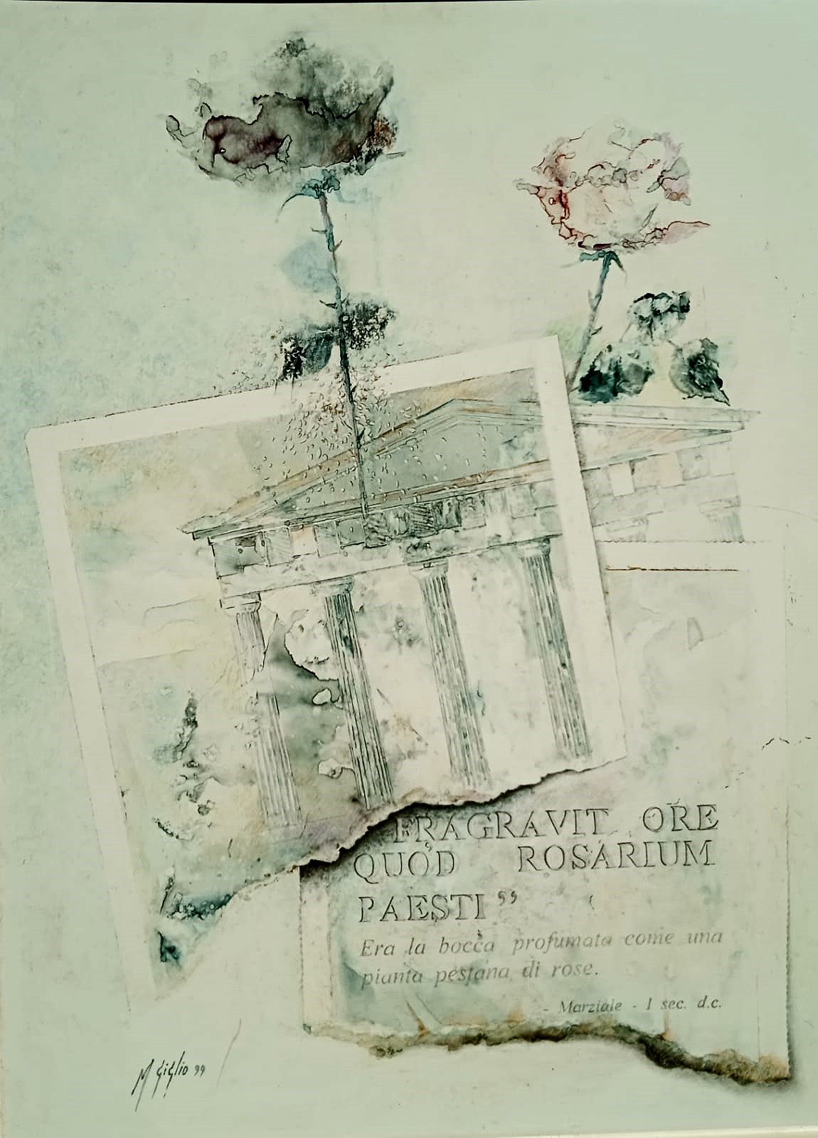 i messaggi della rosa