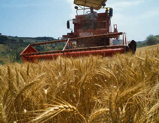 28102013 agricoltura