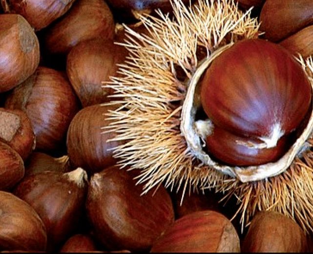 28102015 festa delal castagna