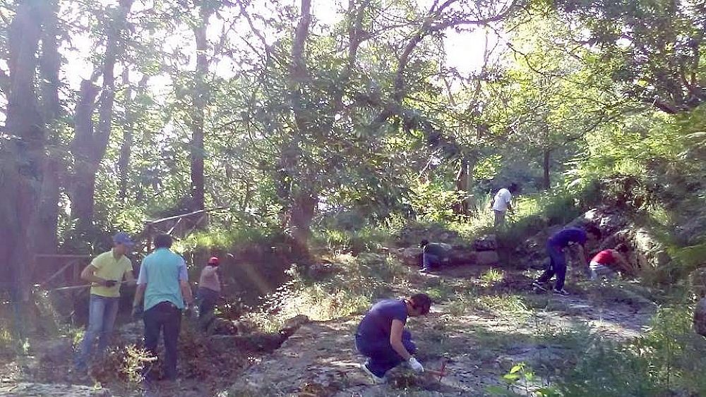 28102016 3 pulizia luglio