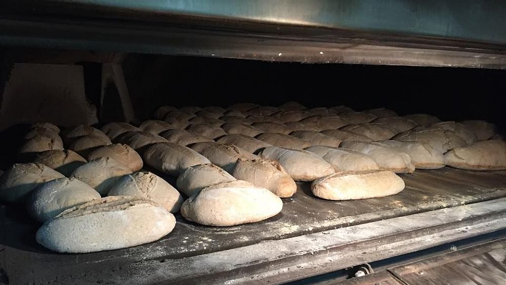 28102016 Martino 2 28102016 Martino 2