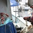 Economia foto - 28102016 pescatore