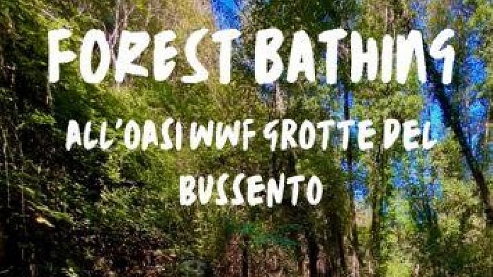 28102022 locandinamorigerati 28102022 locandinamorigerati