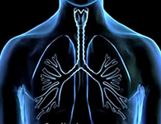 28112012 pneumologia1