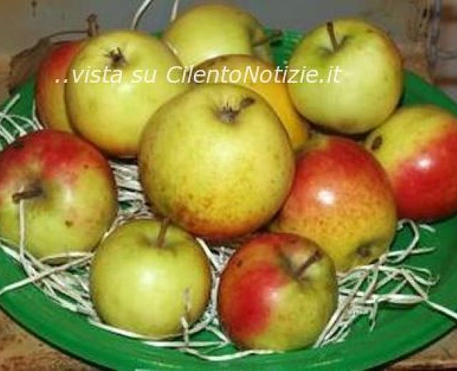 28112013 la signora delle mele 28112013 la signora delle mele