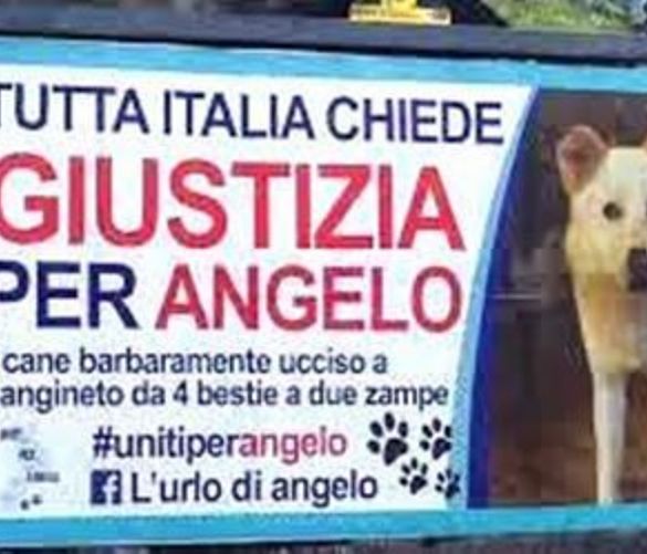 Paolo-Abbate foto - 28112016 giustizia per angelo