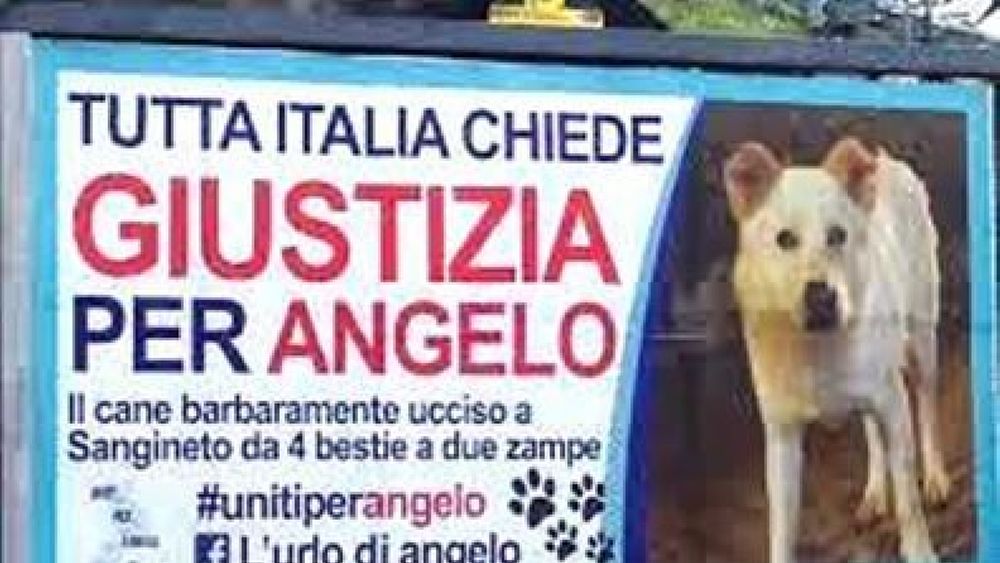 28112016 giustizia per angelo 28112016 giustizia per angelo