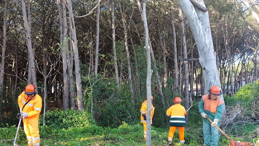 28112018 pineta paestum