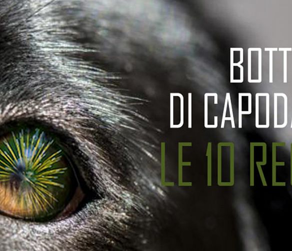 28122017 botti capodanno animali