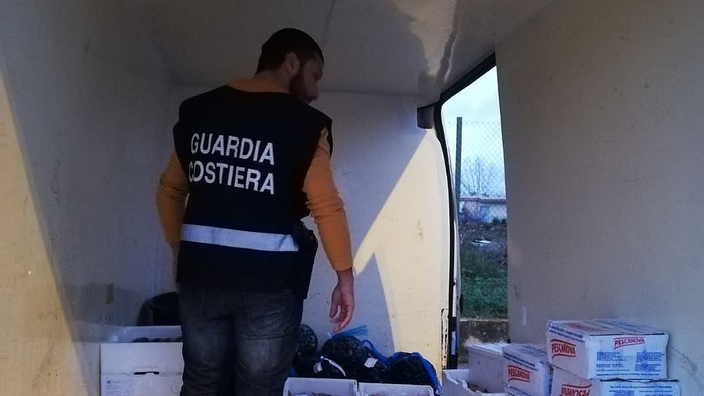28122018 sequestri guardia costiera pesce