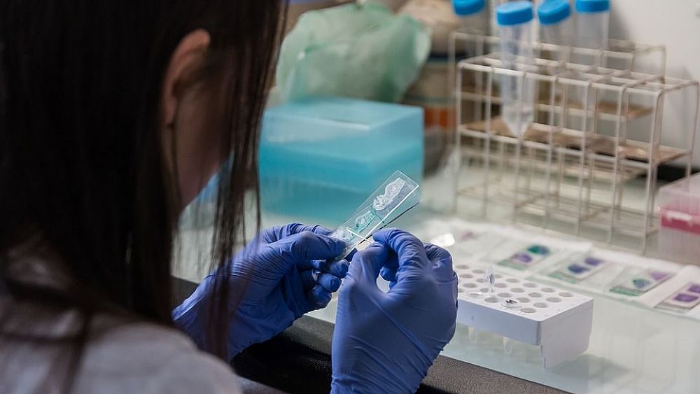 29012020 laboratorio analisi ospedale