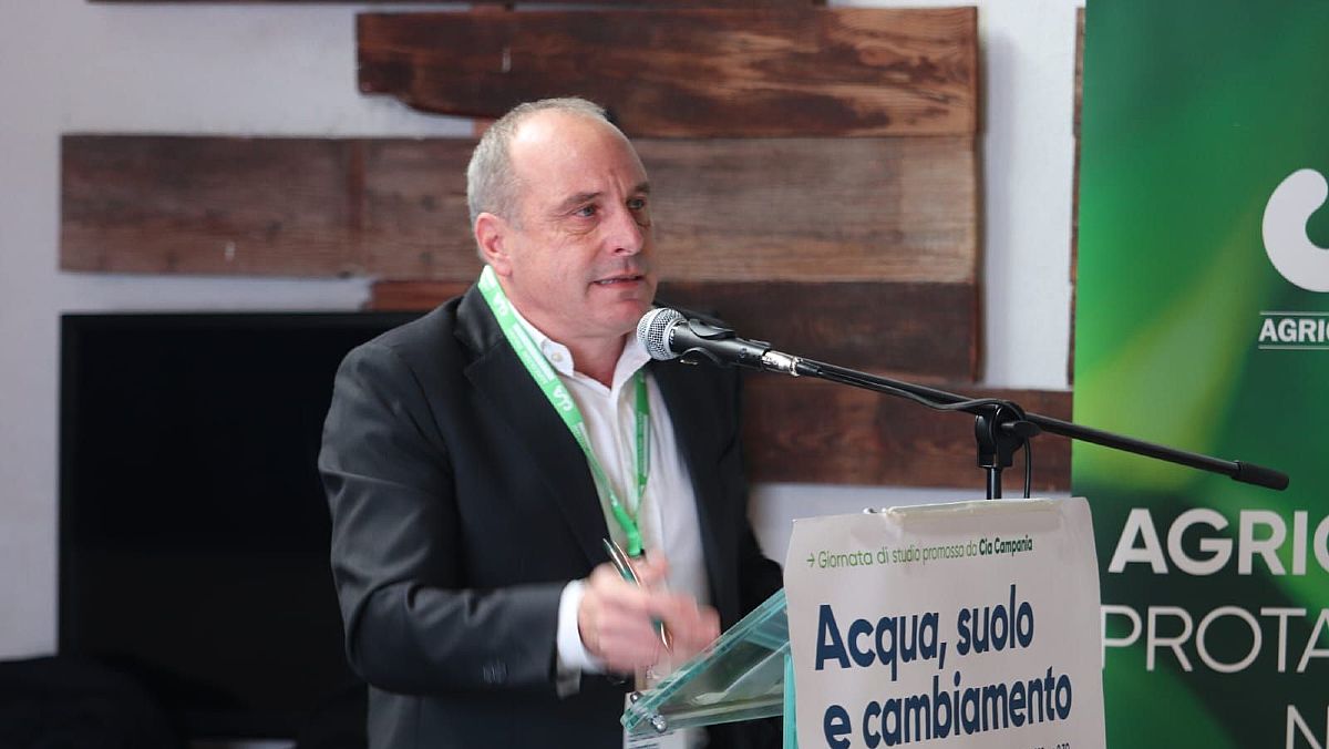 29012025 amore cia campania 29012025 amore cia campania