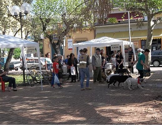 Paolo-Abbate foto - 29042013 cave canem
