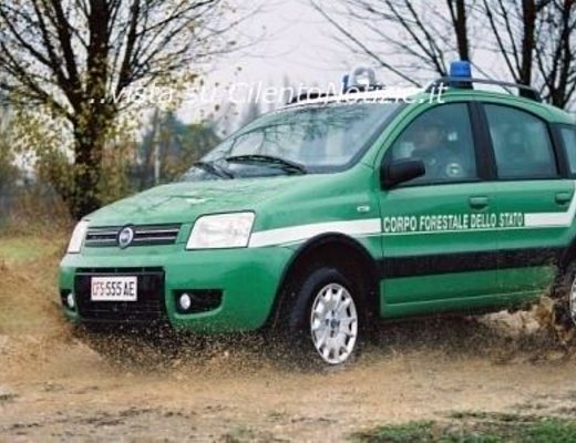 29042013 panda 4x4 corpo forestale