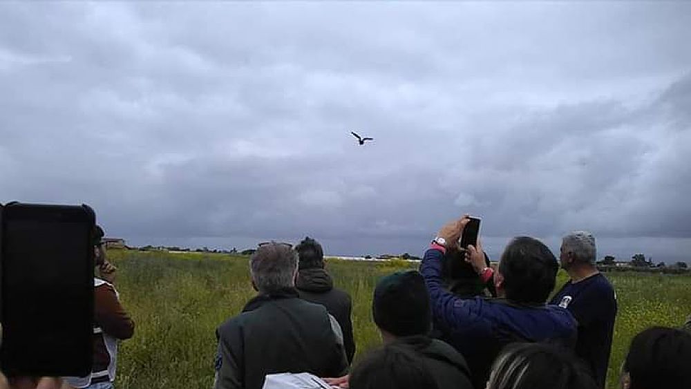 29042019 FB IMG 1556484495127