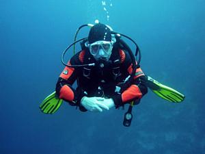 29042026 joakant diver 668777 1920