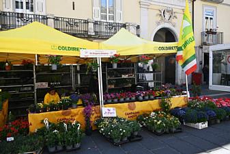 29042026 villaggio coldiretti salerno in flora