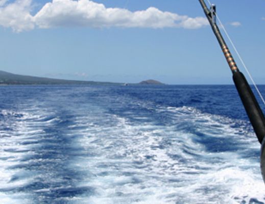 29052014 pesca in mare