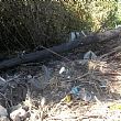 Ambiente foto - 29052017 rifiuti 1