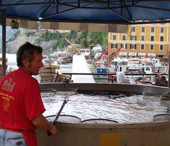 29052018 maxi padella camogli da vicino