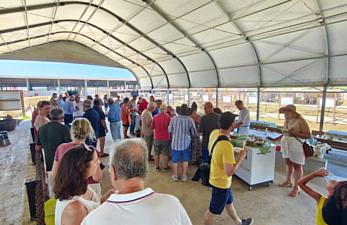 29062026 manupressum panoramica