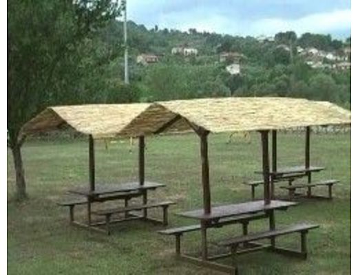 29072014 area picnic