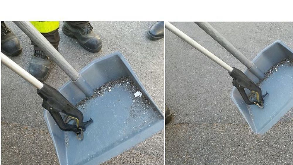 29072017 serpente salerno comune