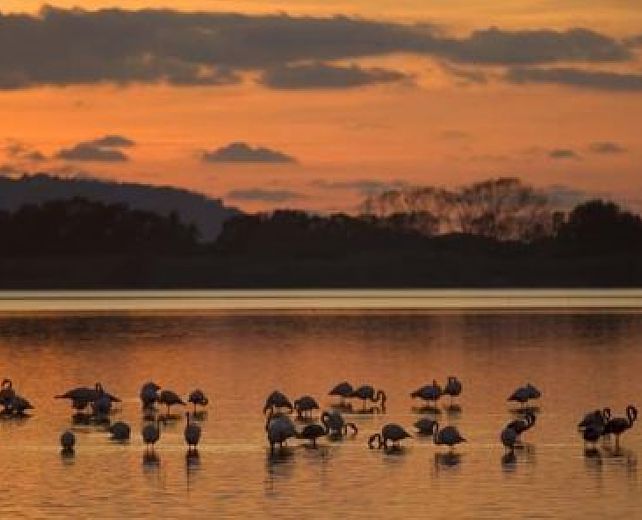 29082013 oasi wwf italia