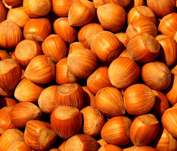 29082017 nocciole