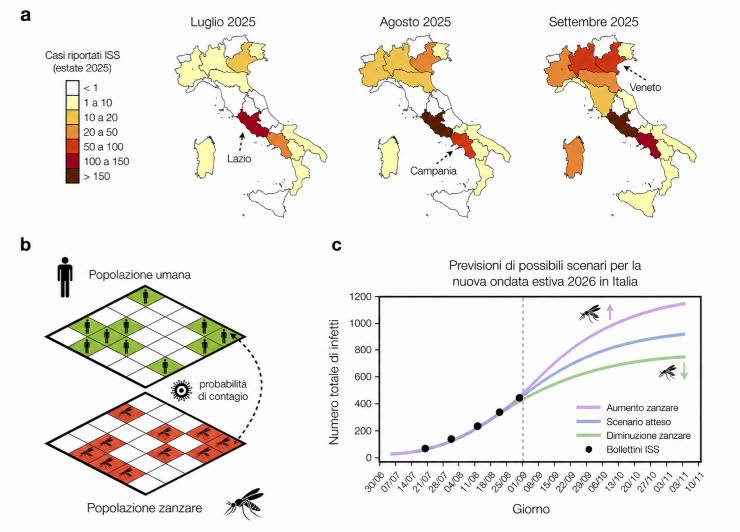 grafico del modello matematico west nile unina