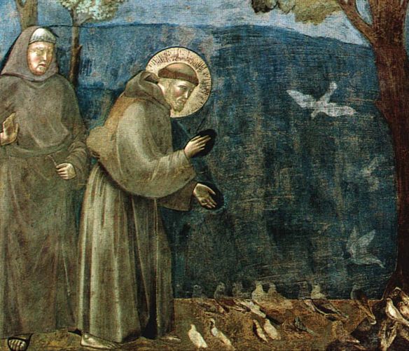 29092016 san francesco