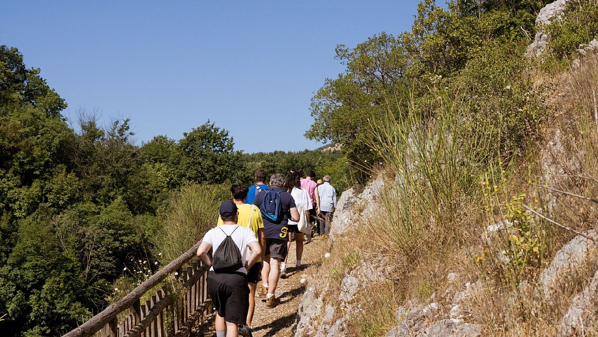 29102024 amico fritz aps 29102024 amico fritz aps