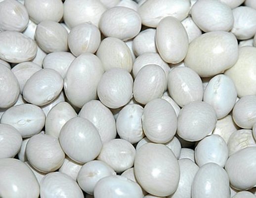 29112012 fagiolo controne