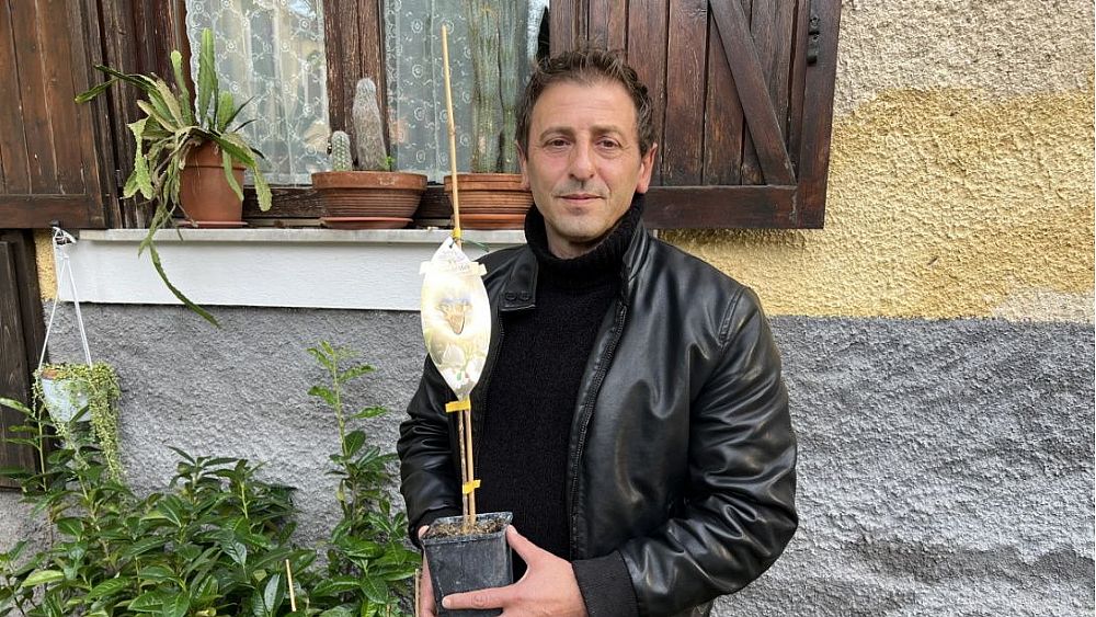 29112022 enzo vespoli 2 29112022 enzo vespoli 2