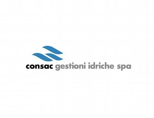 29122013 consac logo