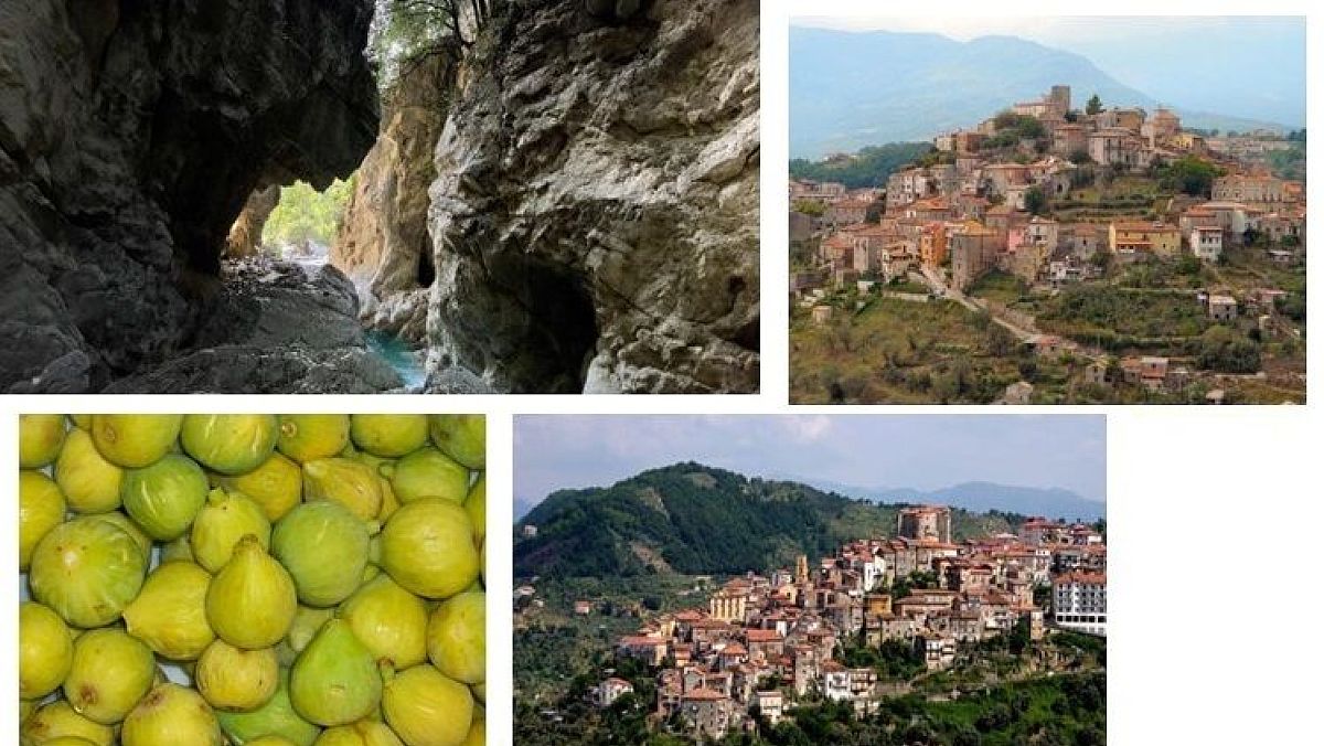 29122024 67 sguardi progettualita 29122024 67 sguardi progettualita