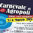 Spettacoli-eventi foto - 30012014 carnevale di agropoli