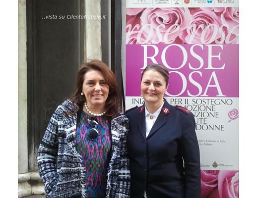 30012014 rose rosa