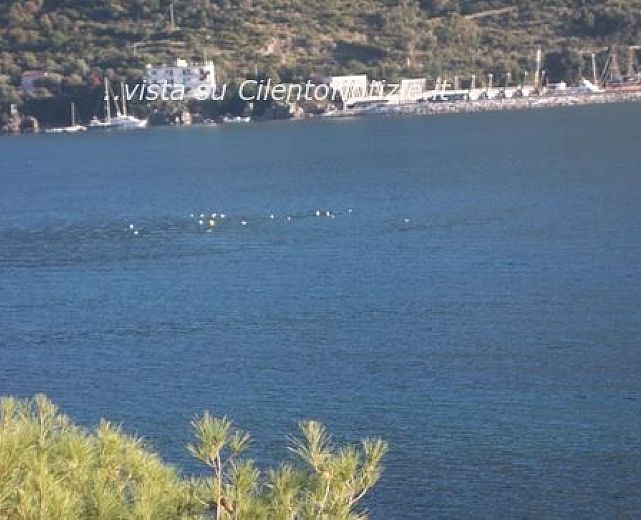 30032014 gabbiani mare abbate 01