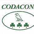 Spettacoli-eventi foto - 30032016 codacons