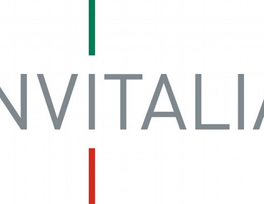 30042013 Logo INVITALIA